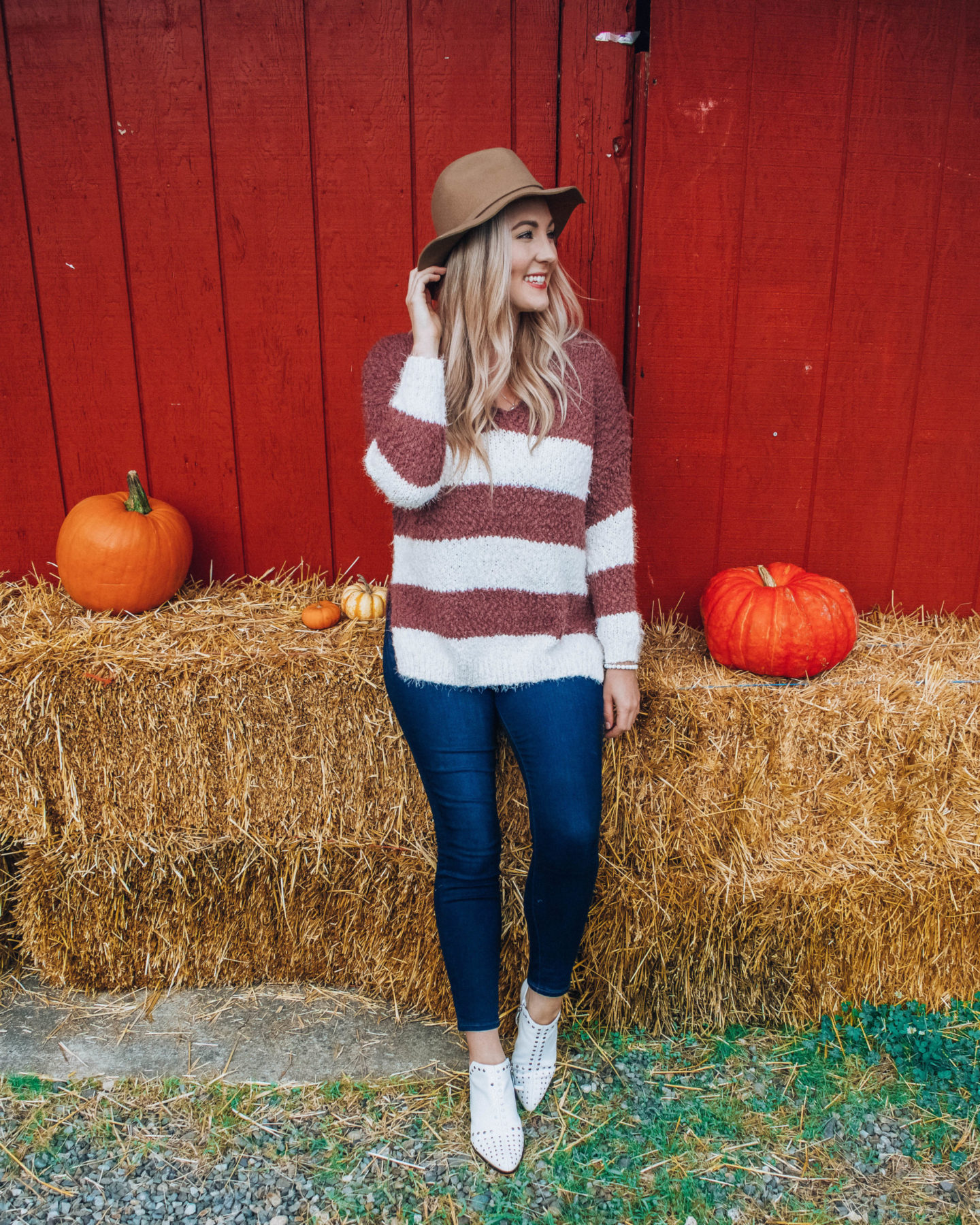 25 Sweaters Under $25!